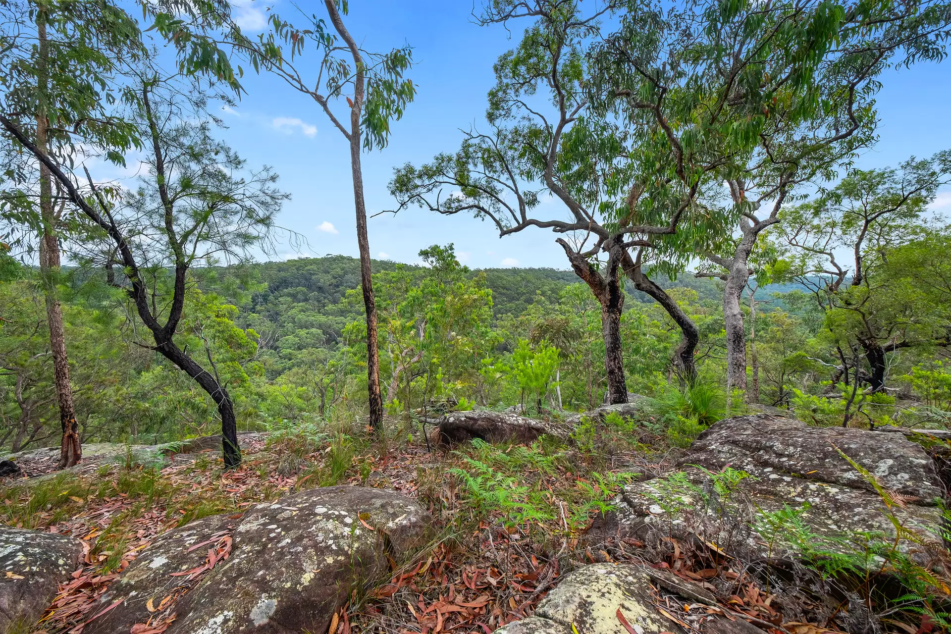 173 Gallaghers Road, South Maroota For Sale by Cutcliffe Properties - image 1