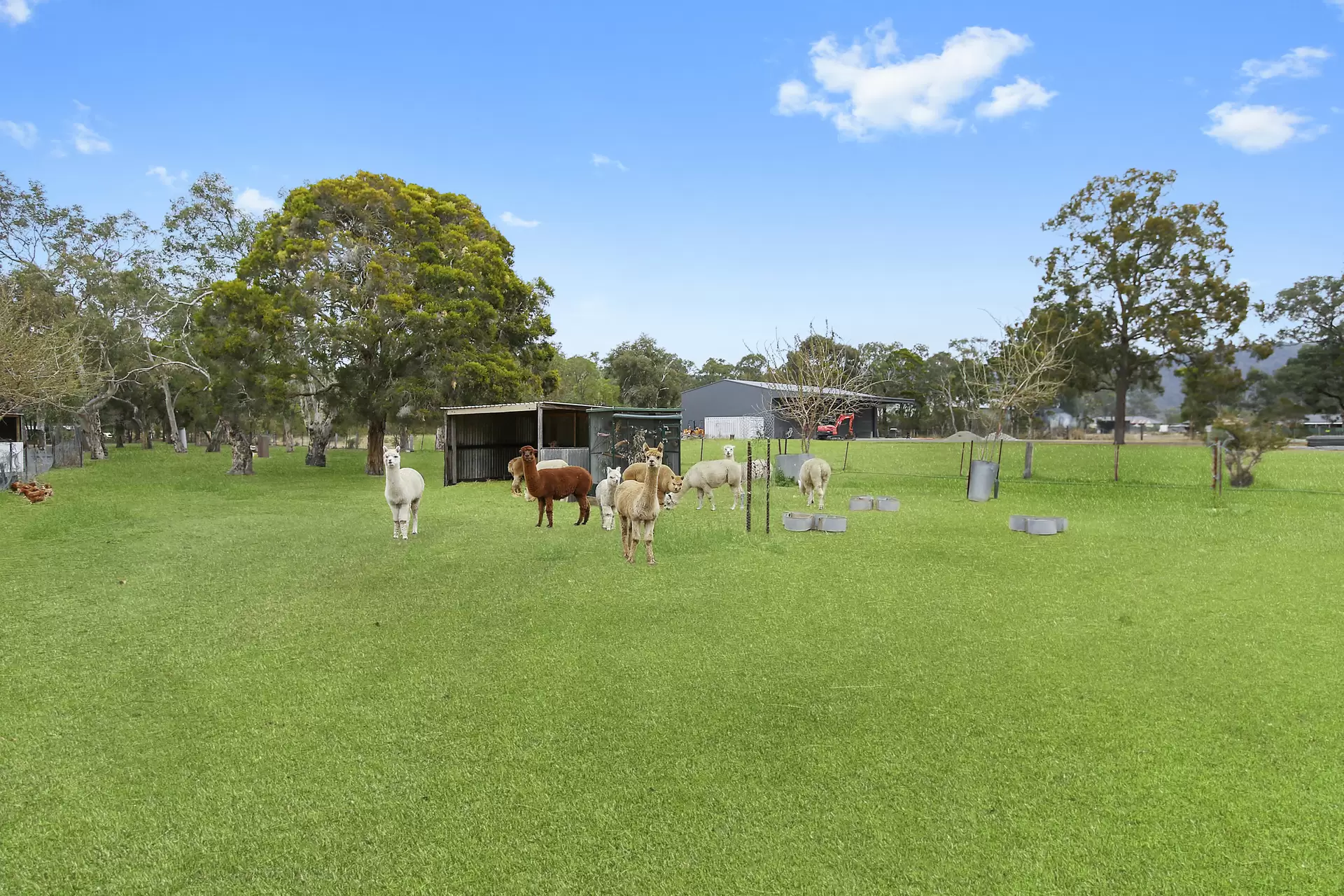 278 Devlin Road, Castlereagh Leased by Cutcliffe Properties - image 1