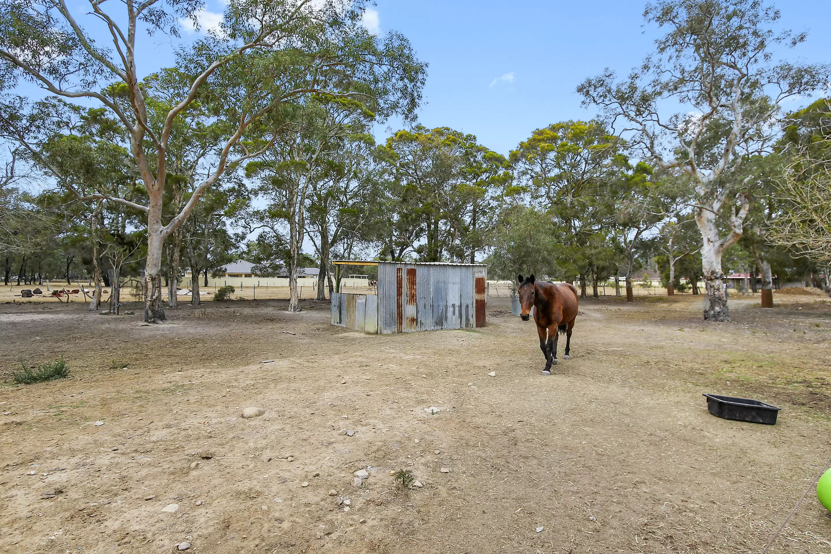 278 Devlin Road, Castlereagh Leased by Cutcliffe Properties - image 7