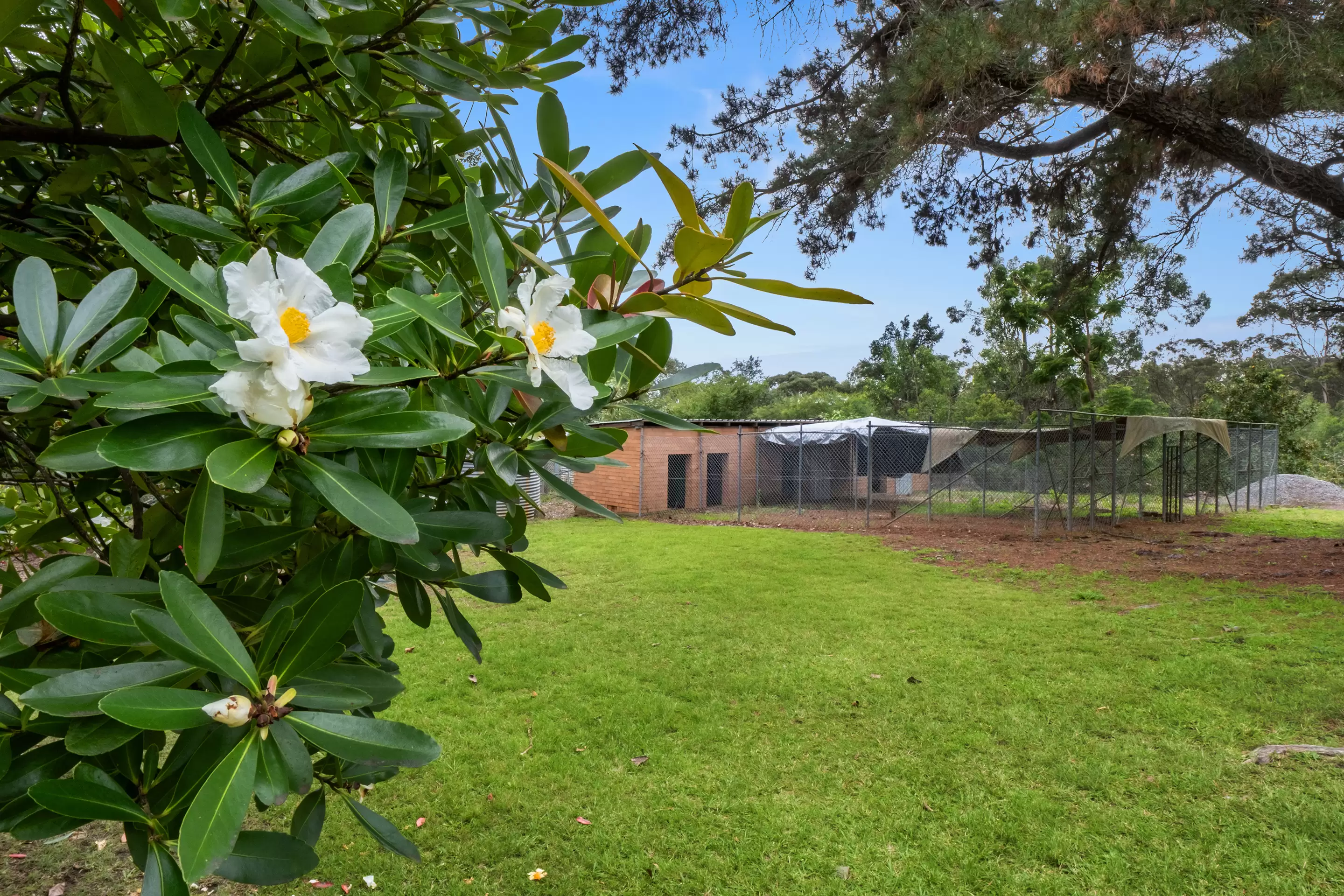 3298 Putty Road, Colo Heights Sold by Cutcliffe Properties - image 18