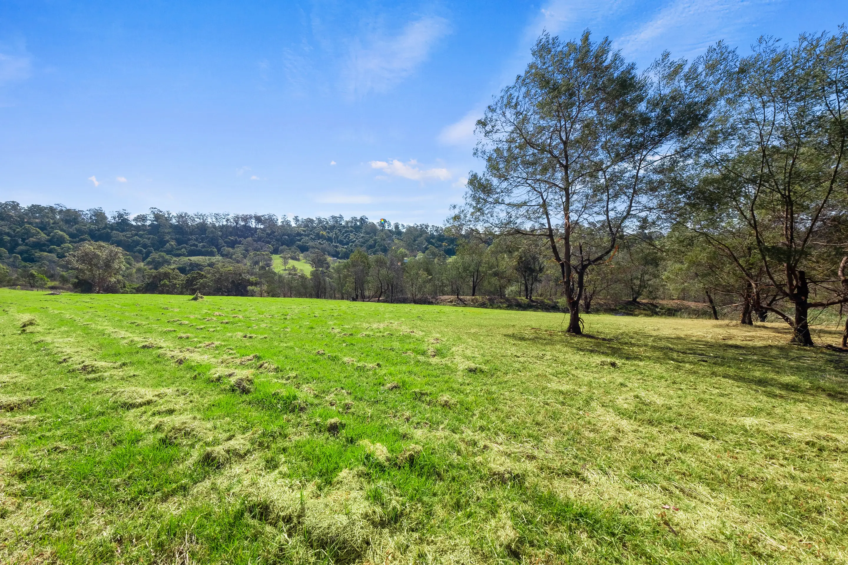 796 Grose Vale Road, Grose Vale Sold by Cutcliffe Properties - image 26