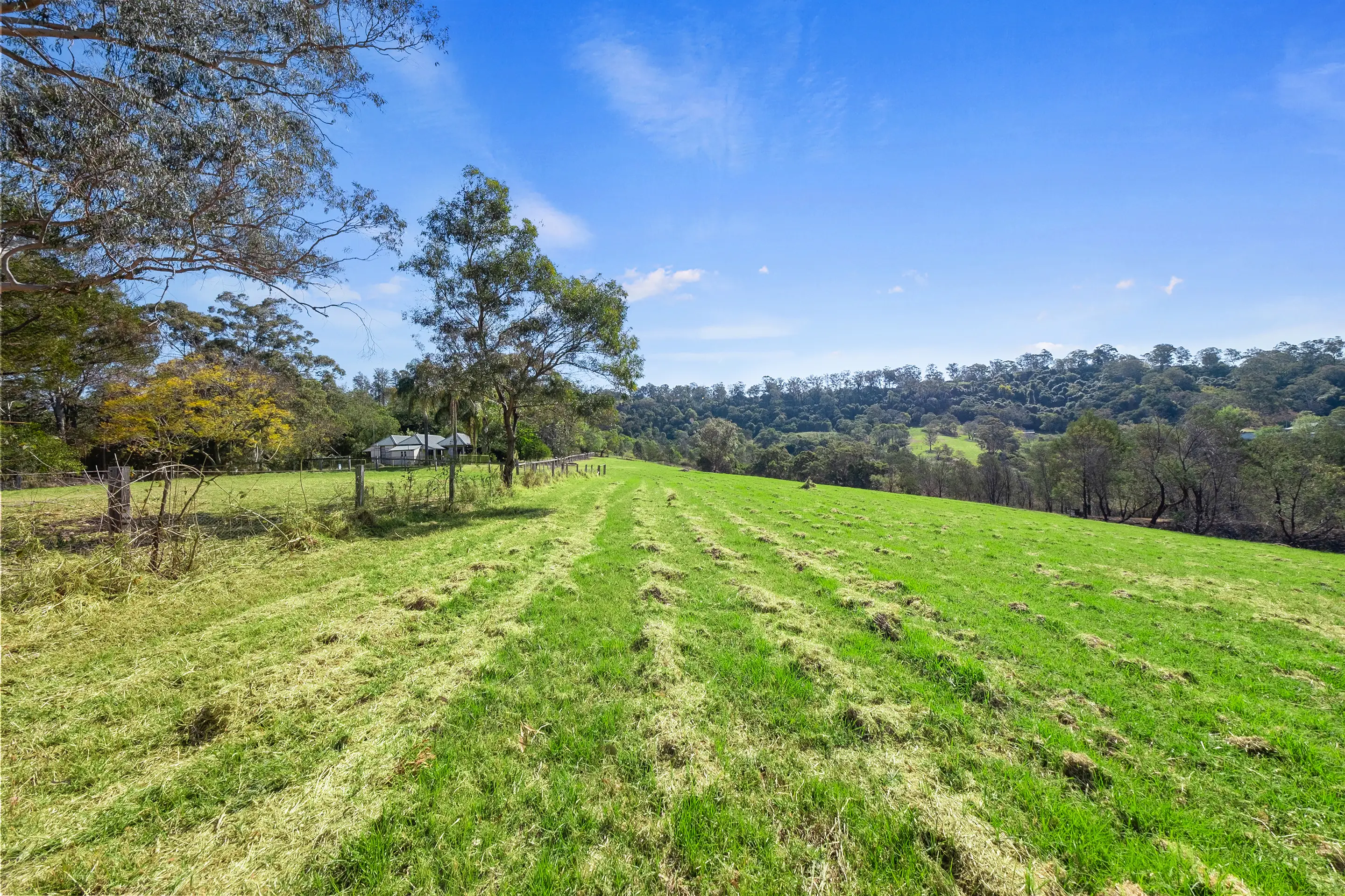 796 Grose Vale Road, Grose Vale Sold by Cutcliffe Properties - image 27