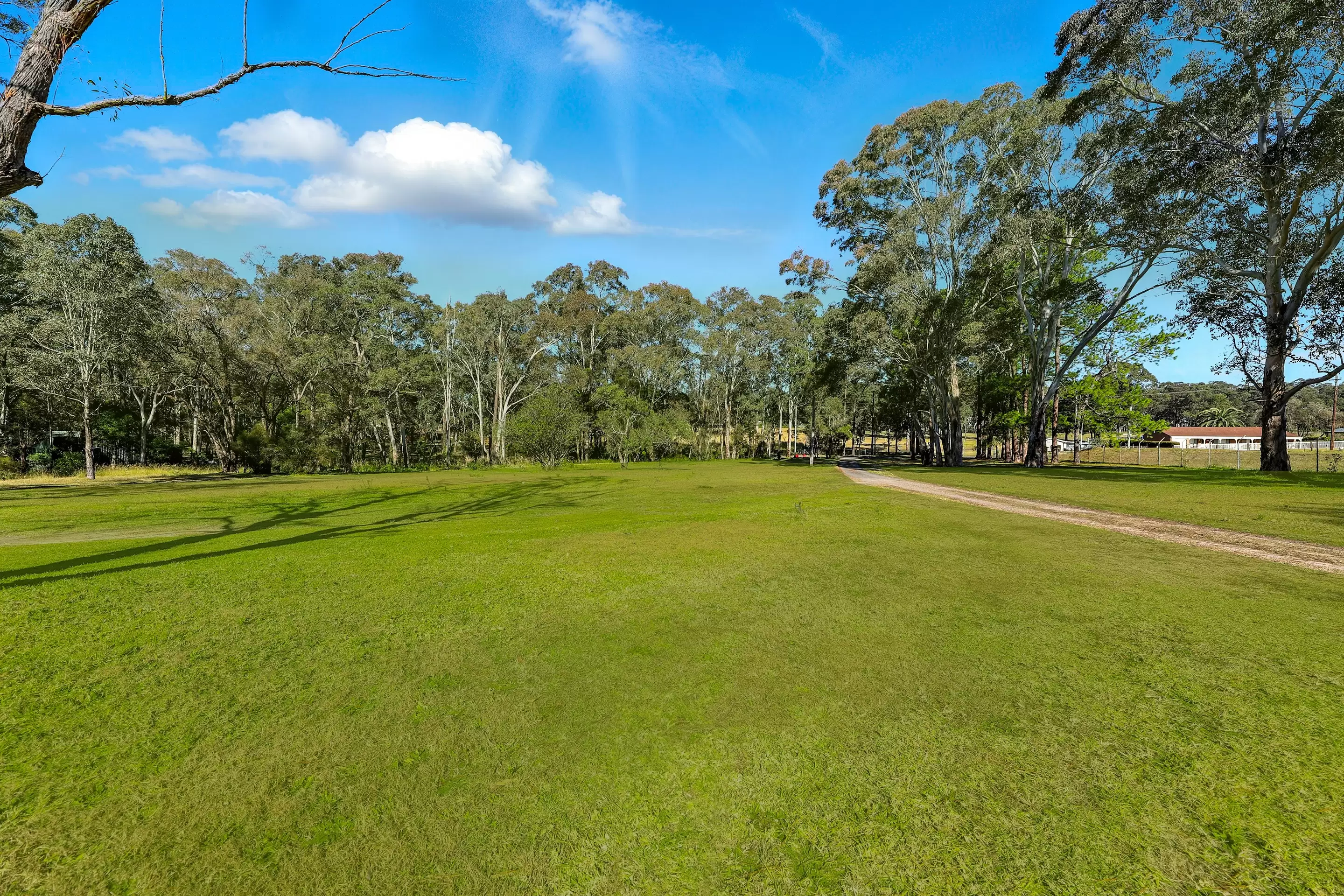 22A Fourth Avenue, Llandilo Sold by Cutcliffe Properties - image 18
