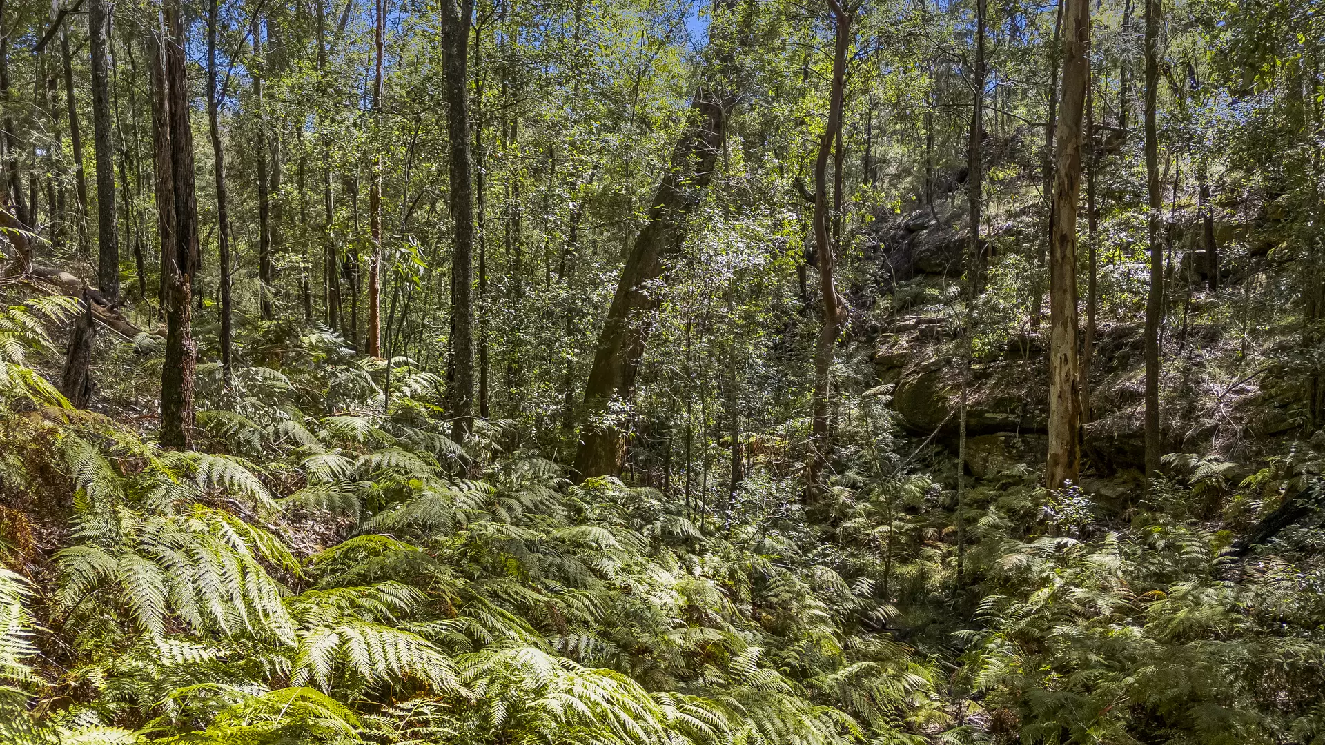 585 East Kurrajong Road, East Kurrajong Sold by Cutcliffe Properties - image 1