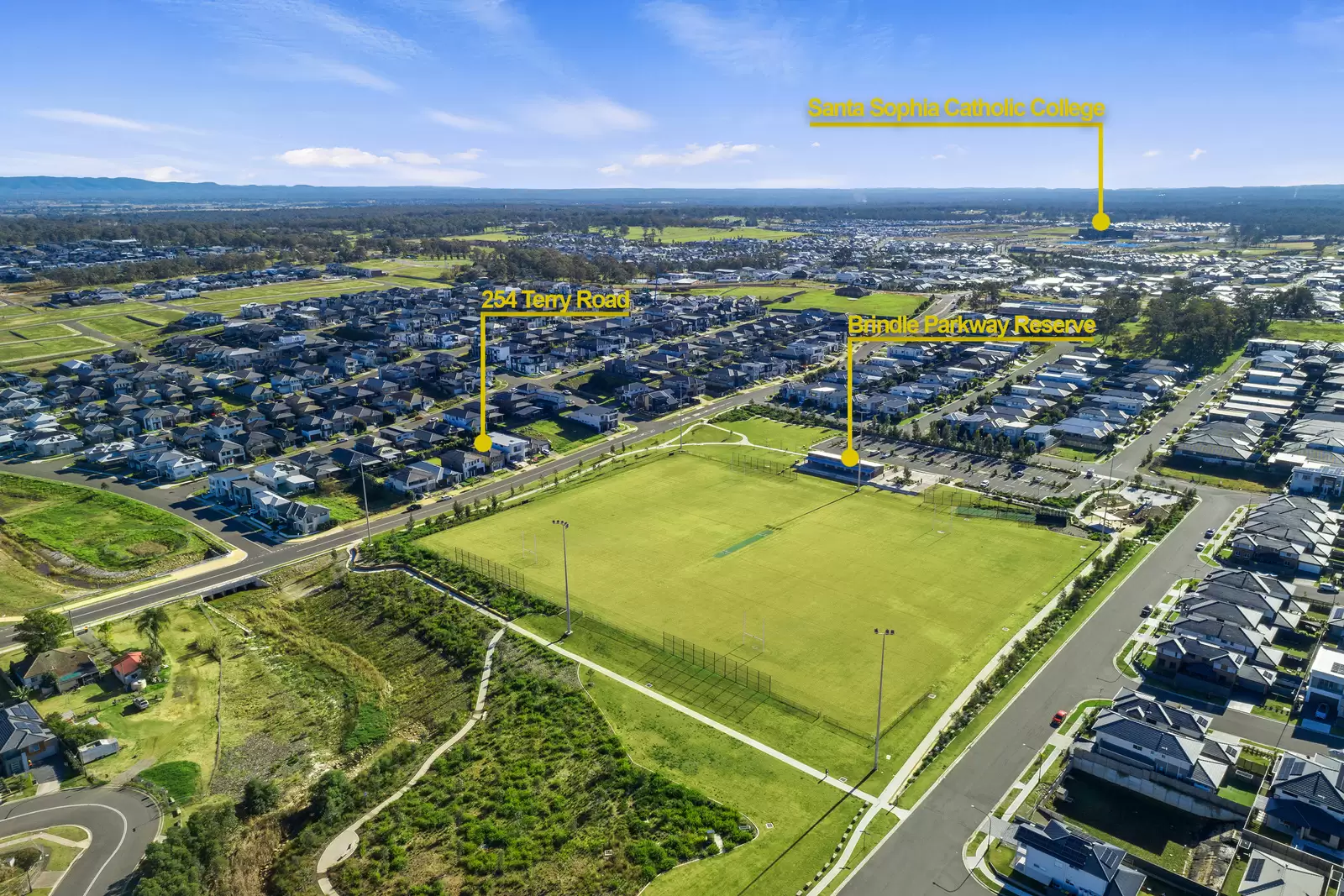 254 Terry Road, Box Hill Sold by Cutcliffe Properties - image 2