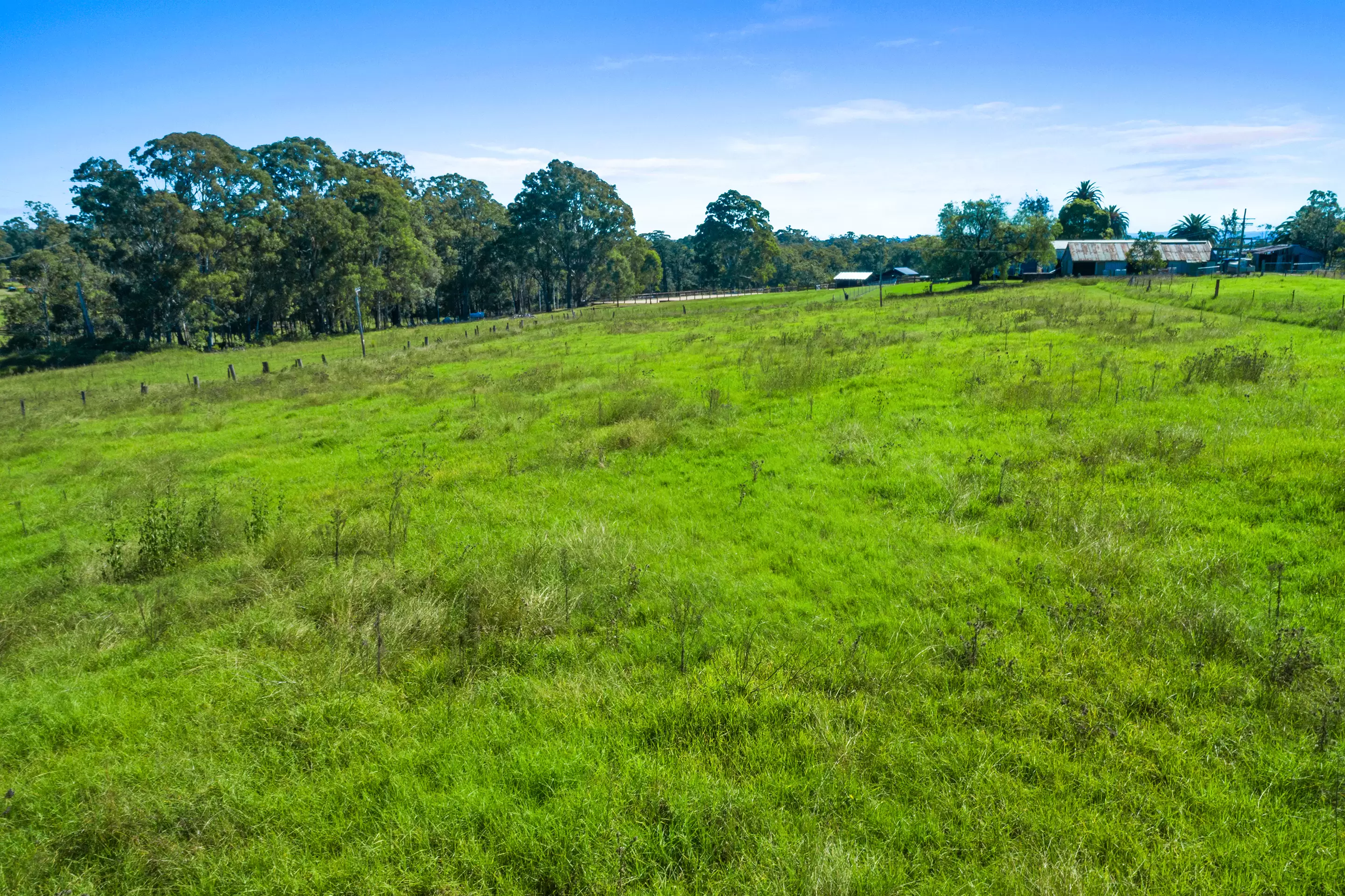 42 Speets Road, Oakville Sold by Cutcliffe Properties - image 6