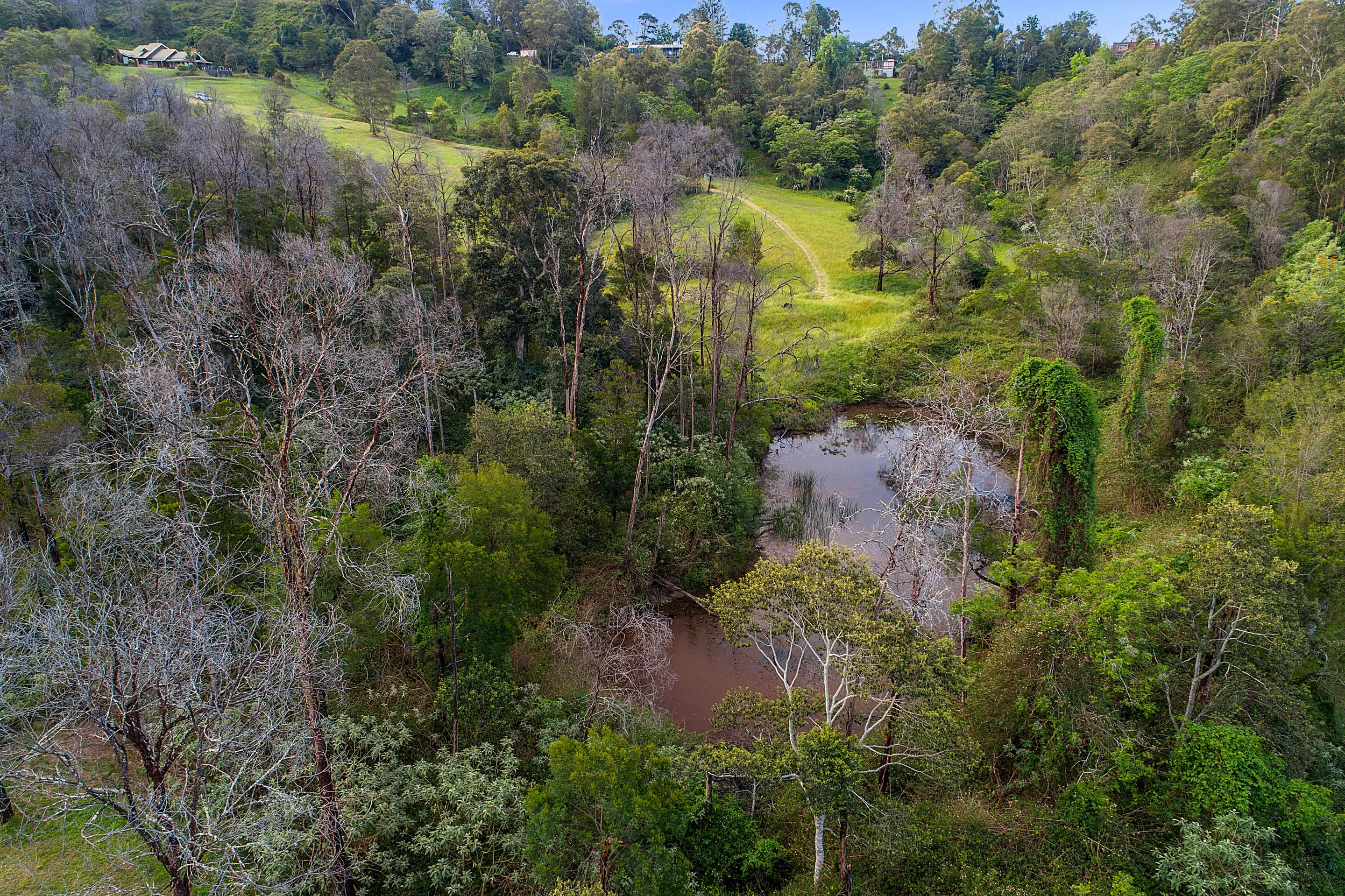 35 Serpentine Lane, Bowen Mountain Sold by Cutcliffe Properties - image 21