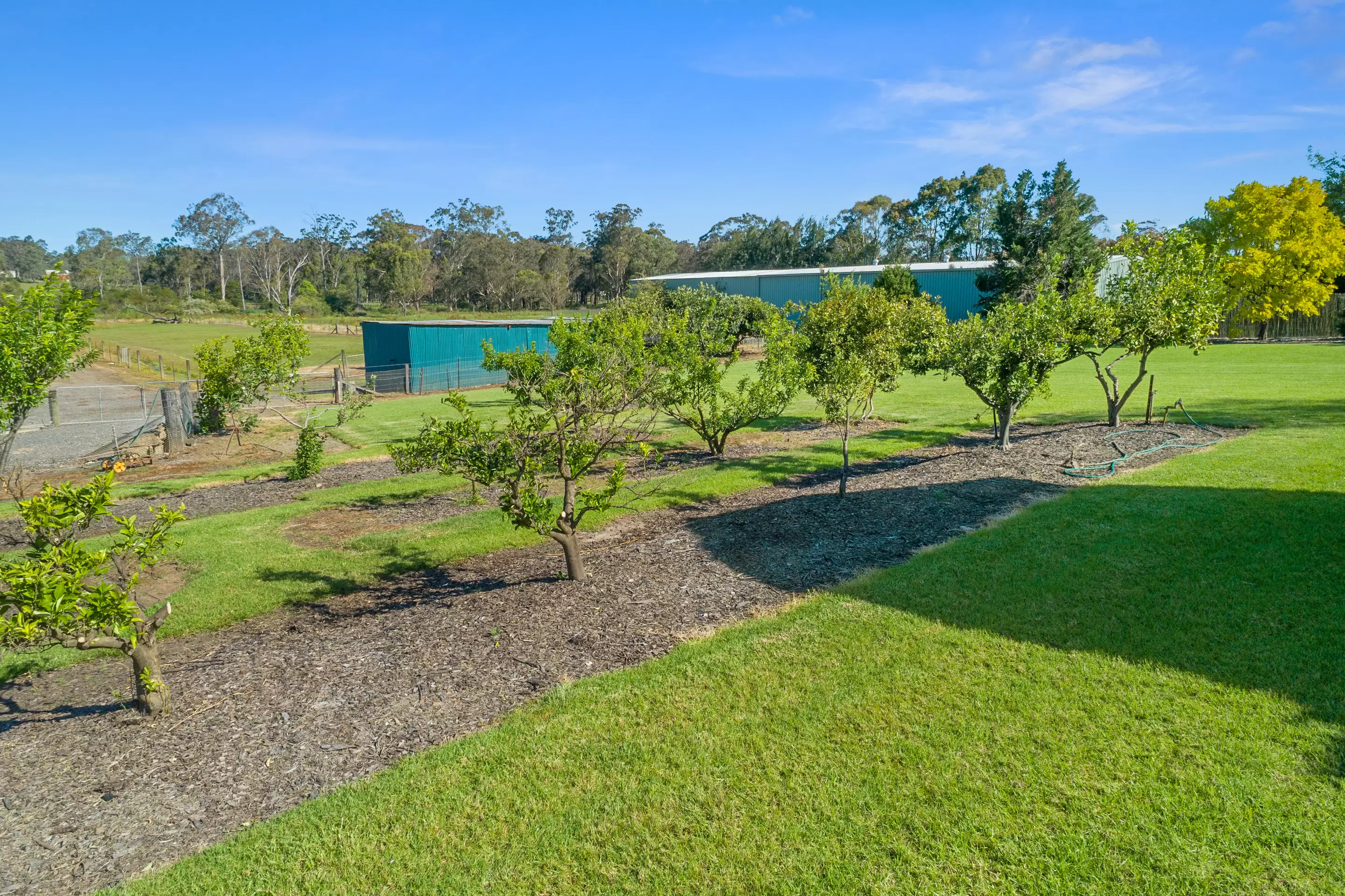 292 Pitt Town Road, Pitt Town Sold by Cutcliffe Properties - image 14