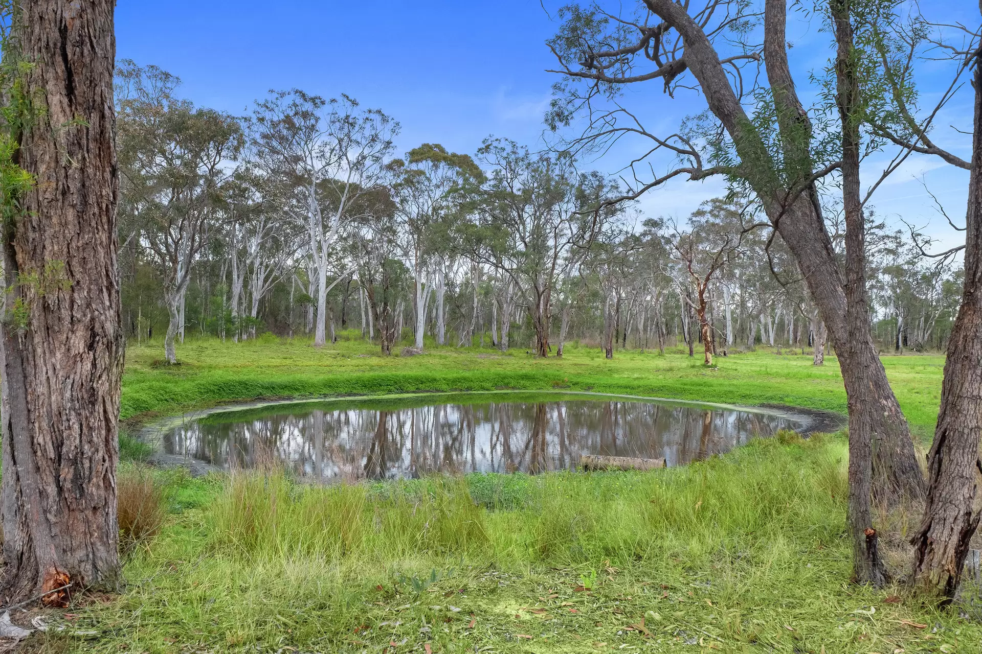 80 Tadmore Road, Cranebrook Sold by Cutcliffe Properties - image 1