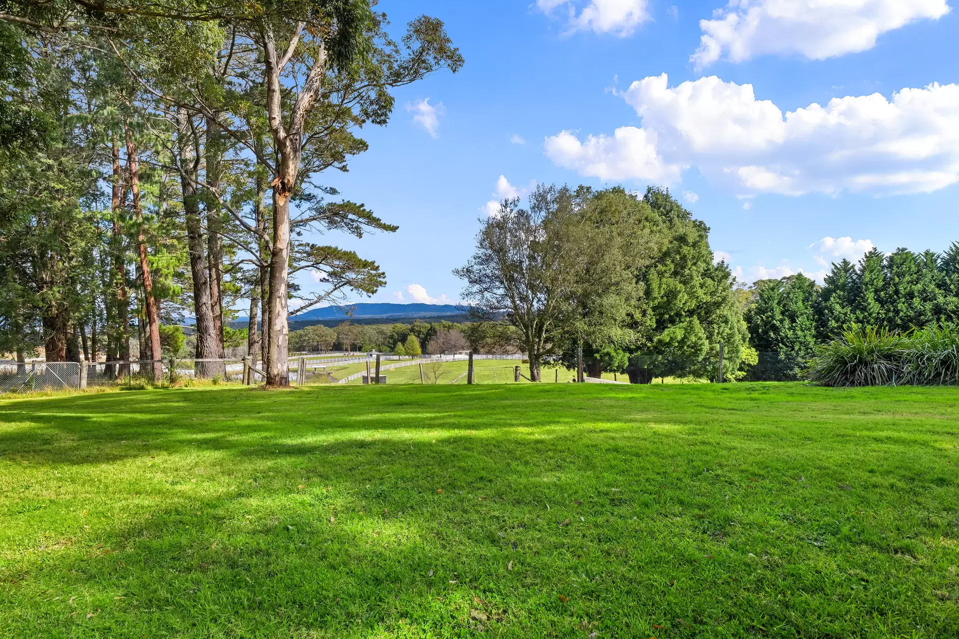2429 Bells Line of Road, Bilpin Sold by Cutcliffe Properties - image 1