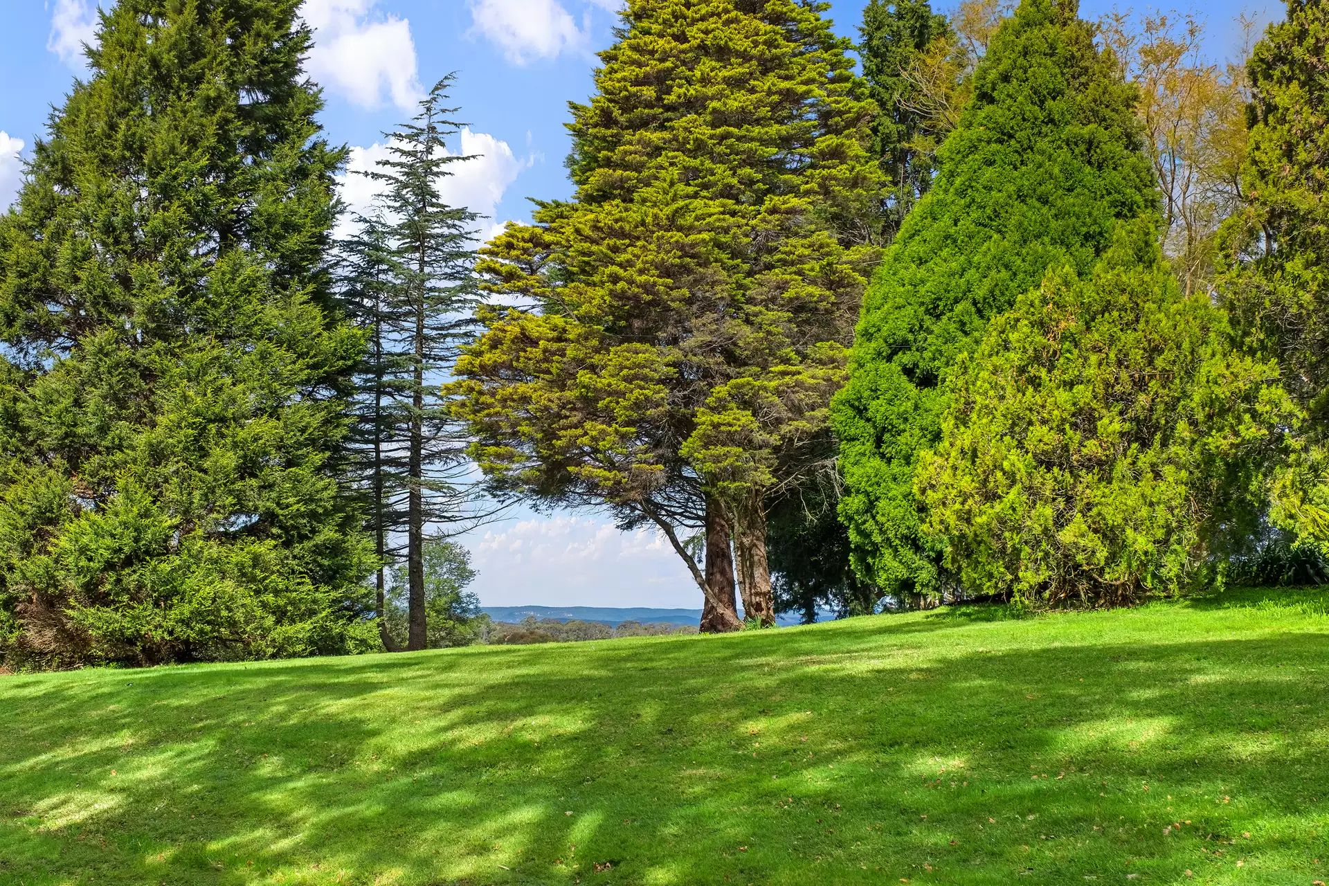 2429 Bells Line of Road, Bilpin Sold by Cutcliffe Properties - image 1