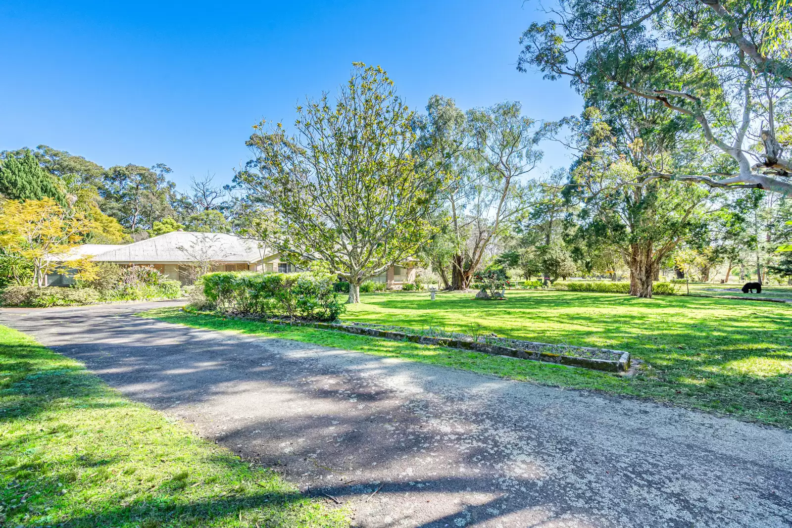 8 Wildthorn Avenue, Dural Sold by Cutcliffe Properties - image 4