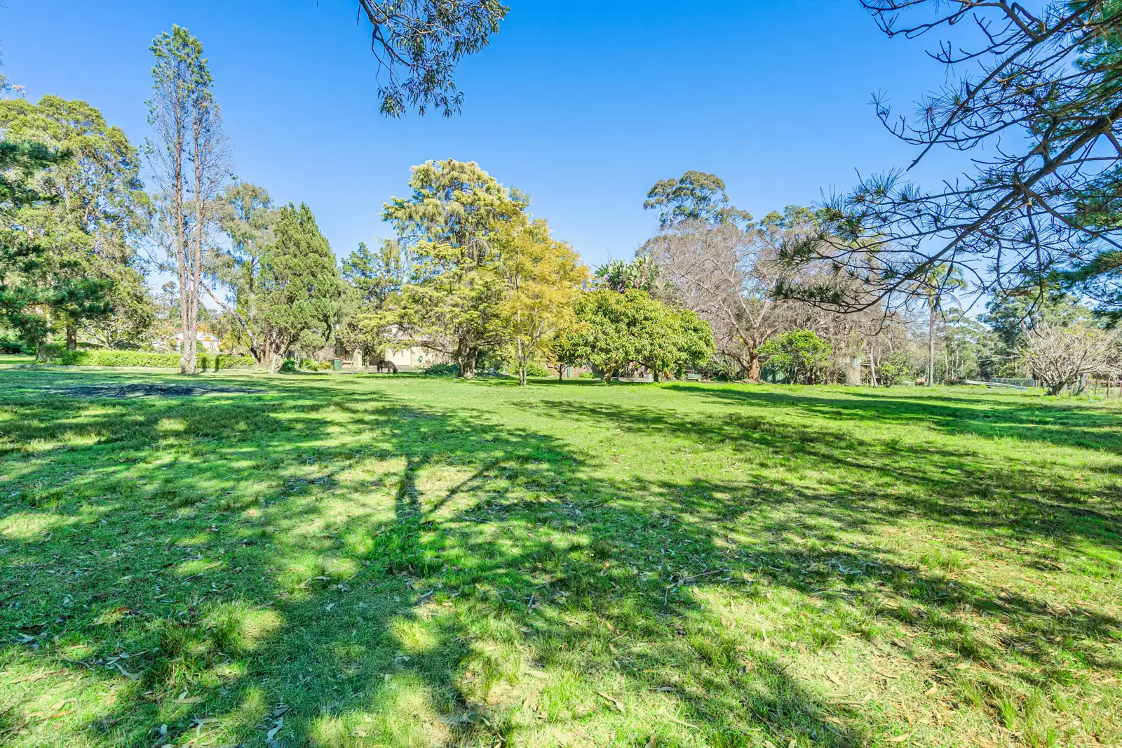 8 Wildthorn Avenue, Dural Sold by Cutcliffe Properties - image 6