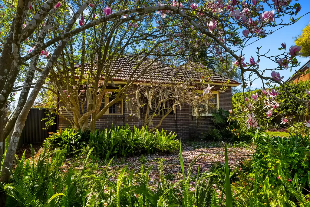 319 Windsor Street, Richmond Sold by Cutcliffe Properties