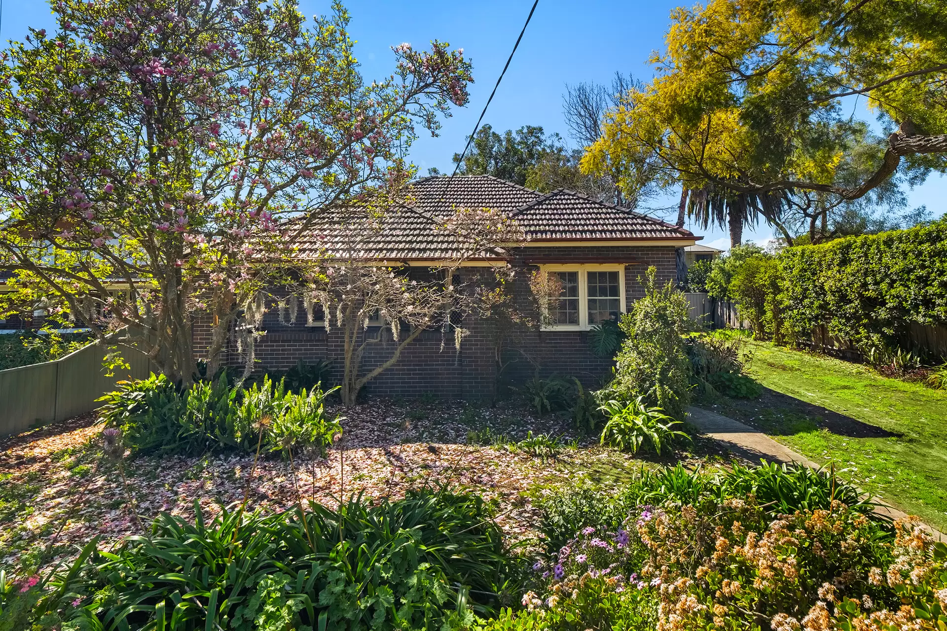 319 Windsor Street, Richmond Sold by Cutcliffe Properties - image 1