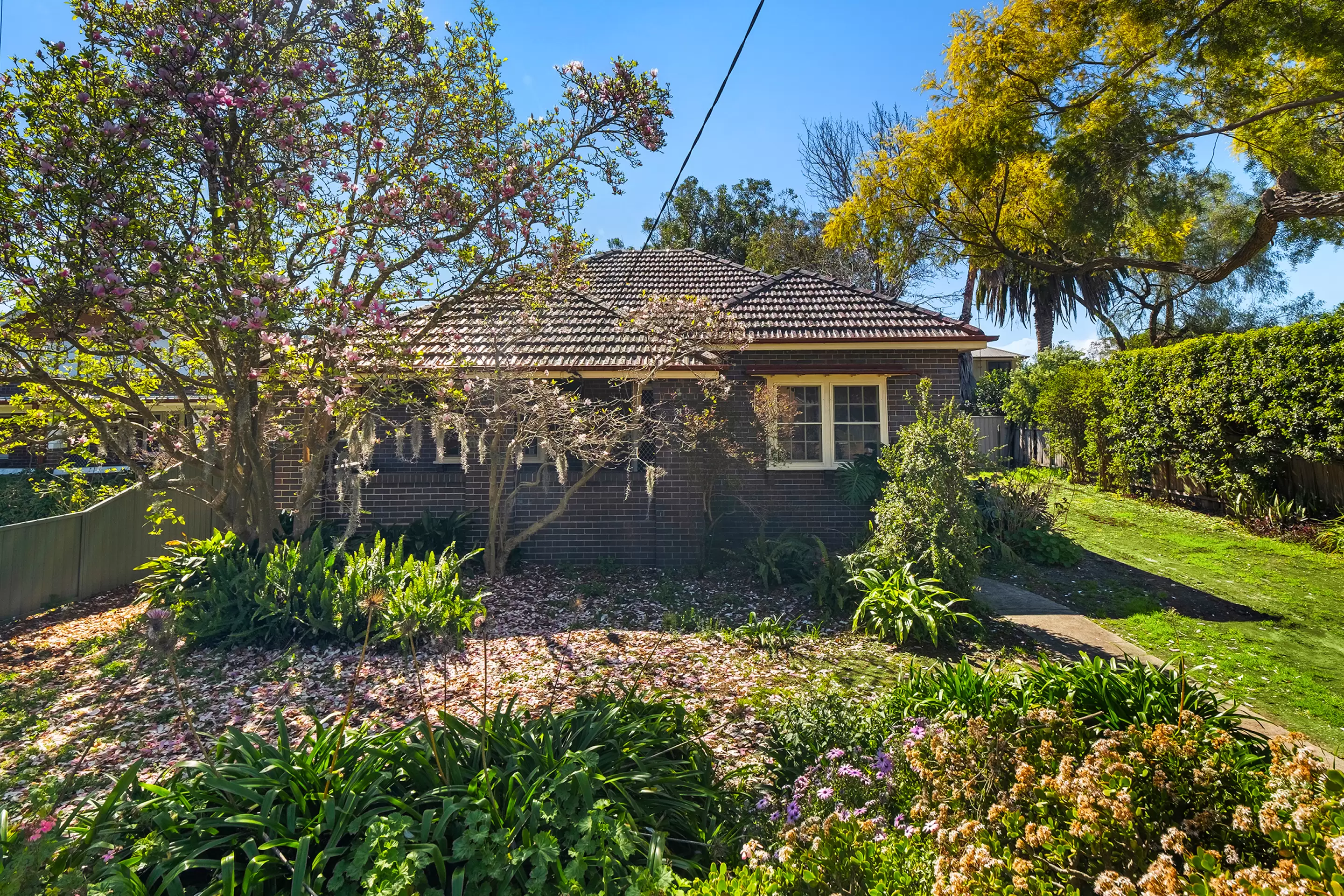319 Windsor Street, Richmond Sold by Cutcliffe Properties - image 13