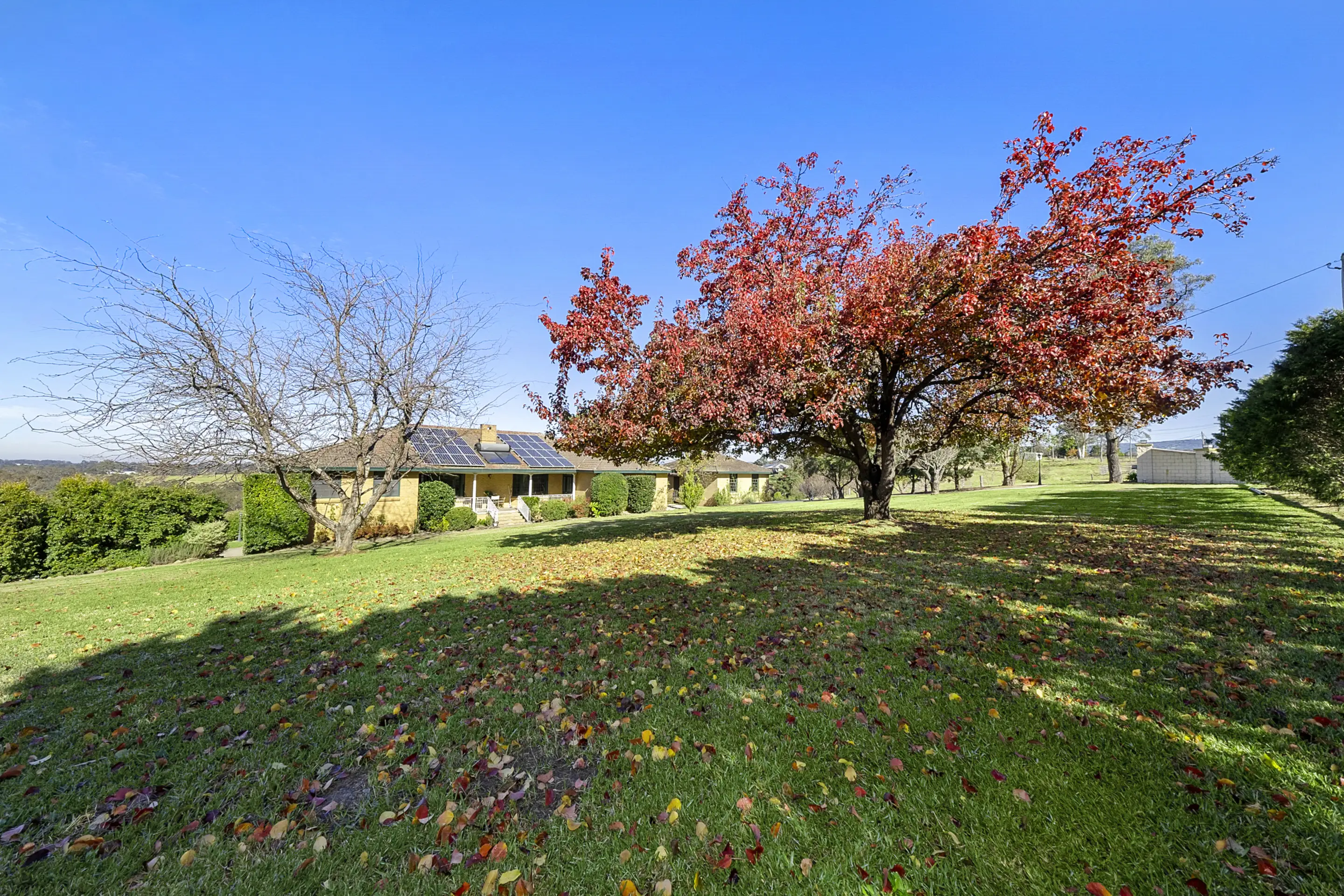 166 East Kurrajong Road, East Kurrajong Sold by Cutcliffe Properties - image 6
