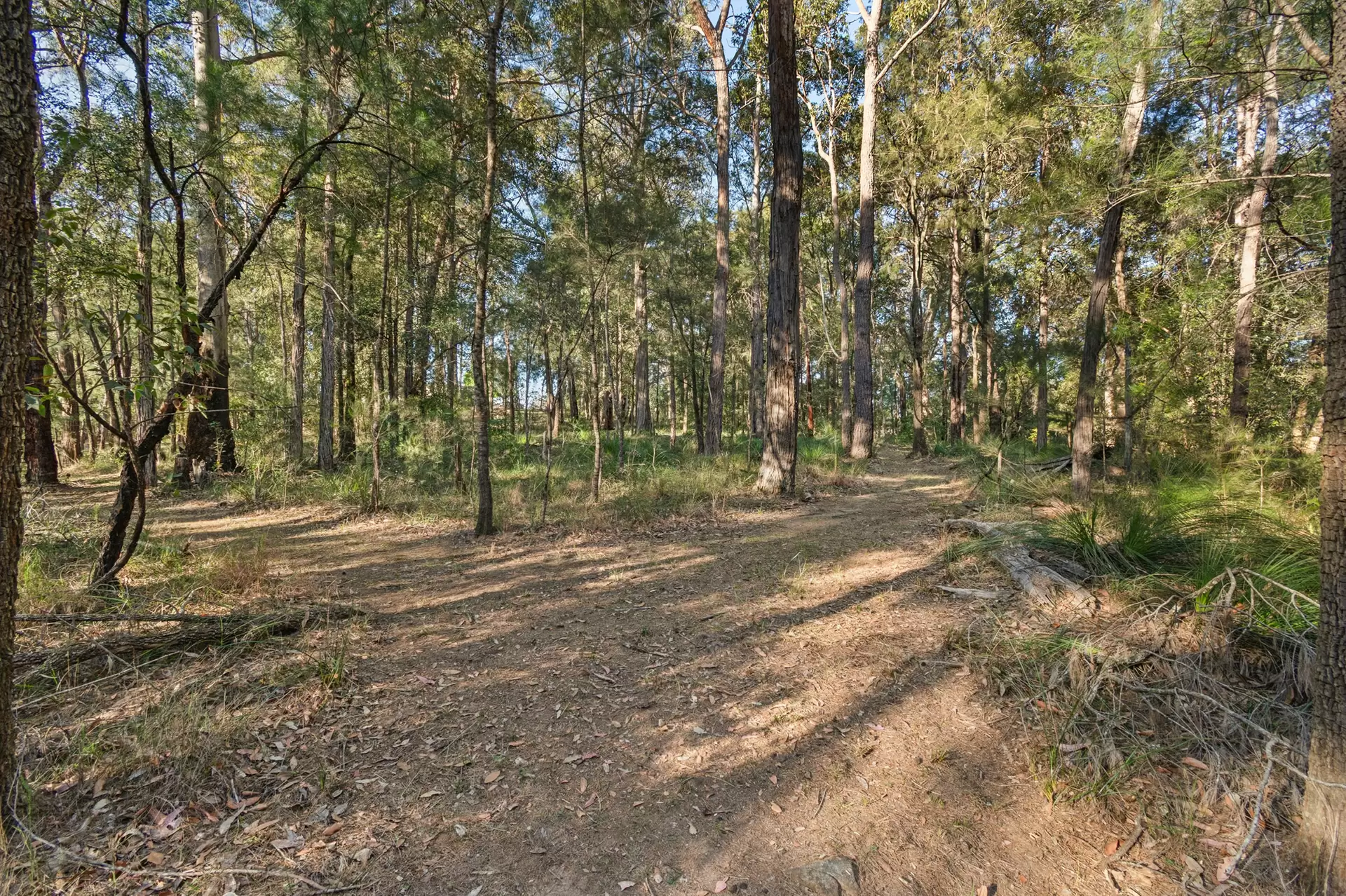 132 Cabbage Tree Road, Grose Vale Sold by Cutcliffe Properties - image 1