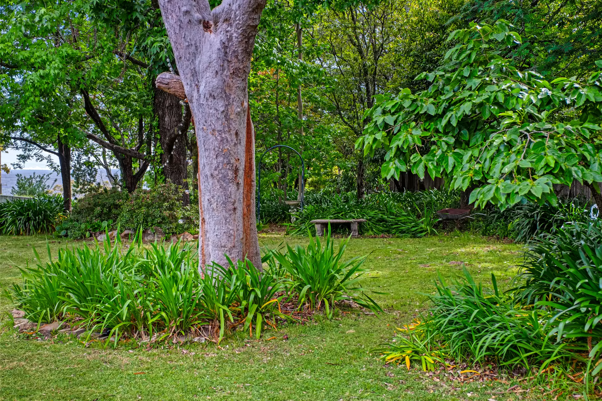 82 Railway Parade, Hazelbrook Sold by Cutcliffe Properties - image 1