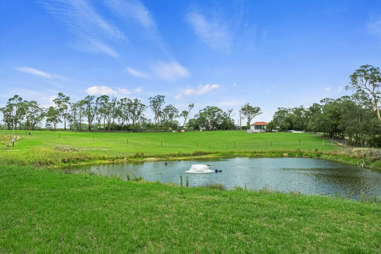 780 Wisemans Ferry Road, South Maroota For Sale by Cutcliffe Properties - image 2