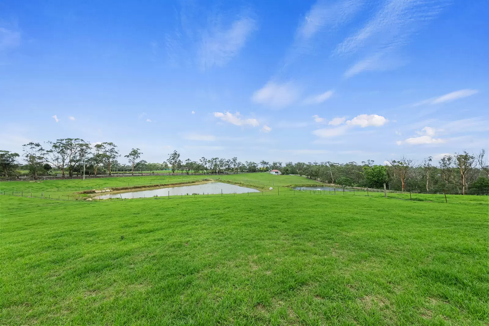 780 Wisemans Ferry Road, South Maroota For Sale by Cutcliffe Properties - image 3