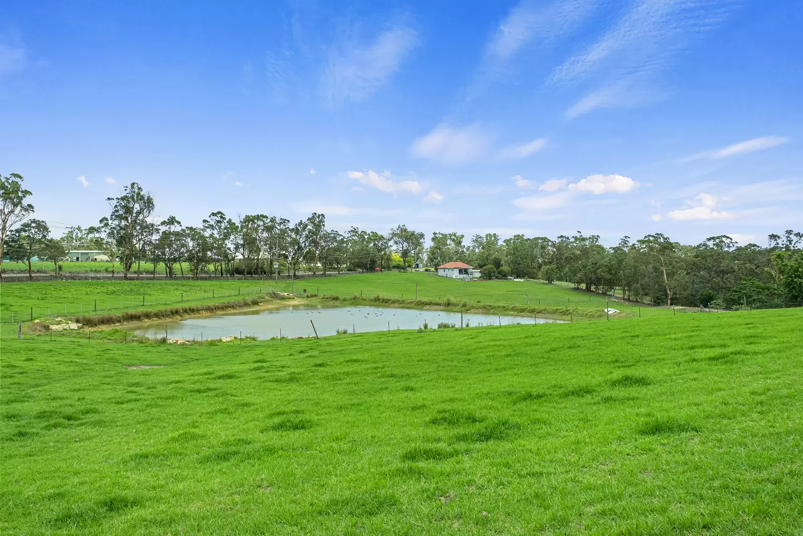 780 Wisemans Ferry Road, South Maroota For Sale by Cutcliffe Properties - image 16