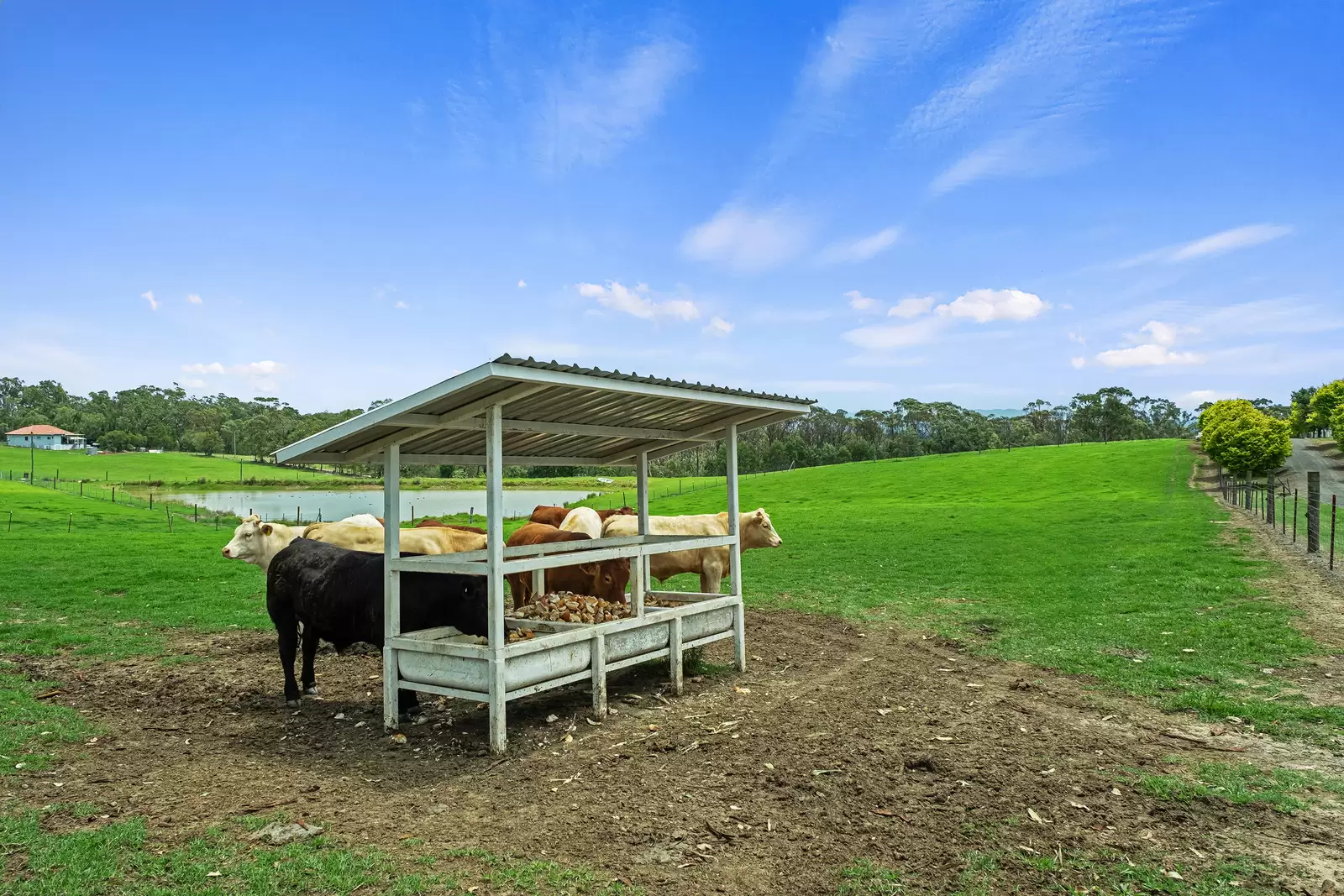 780 Wisemans Ferry Road, South Maroota For Sale by Cutcliffe Properties - image 14
