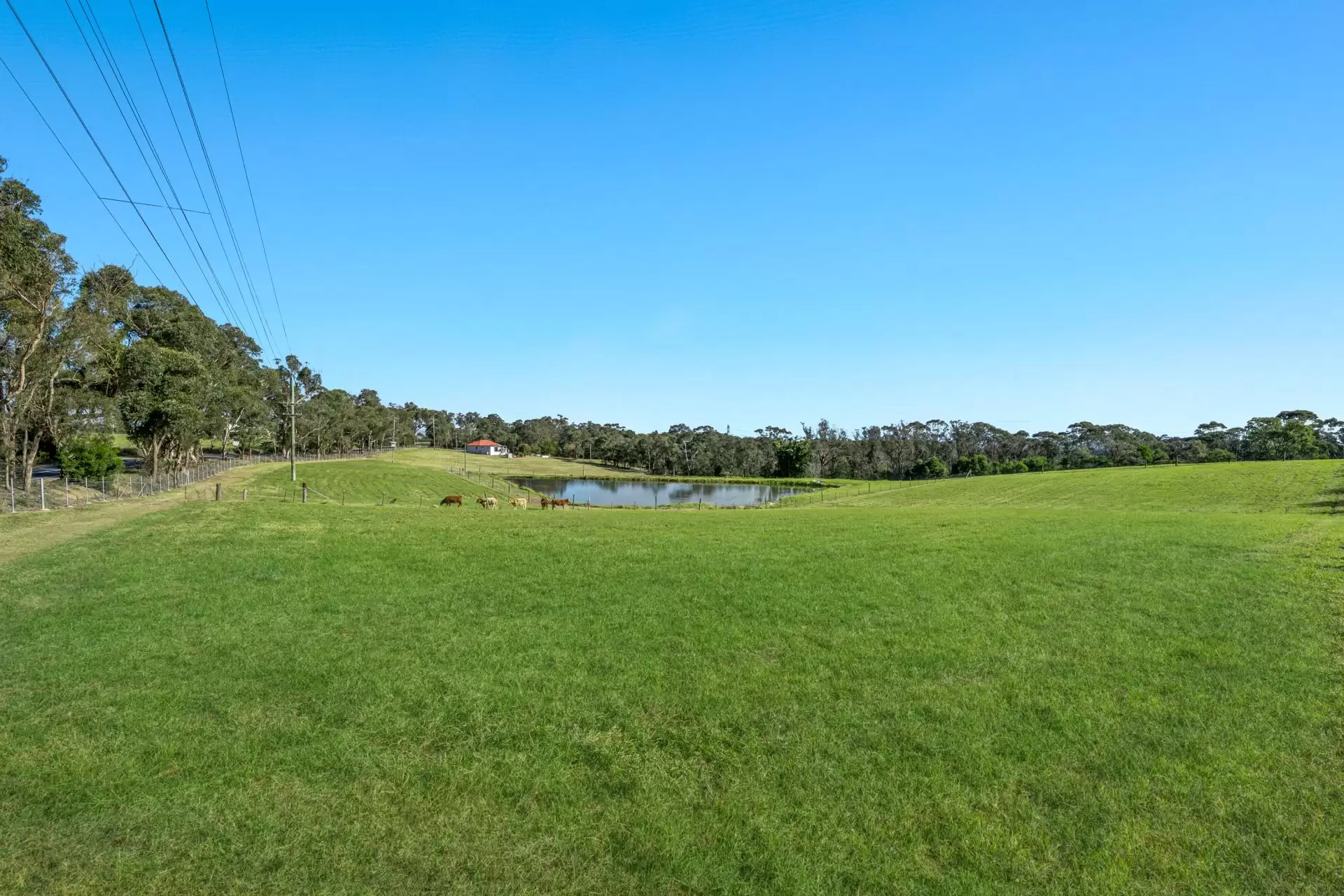 780 Wisemans Ferry Road, South Maroota For Sale by Cutcliffe Properties - image 10