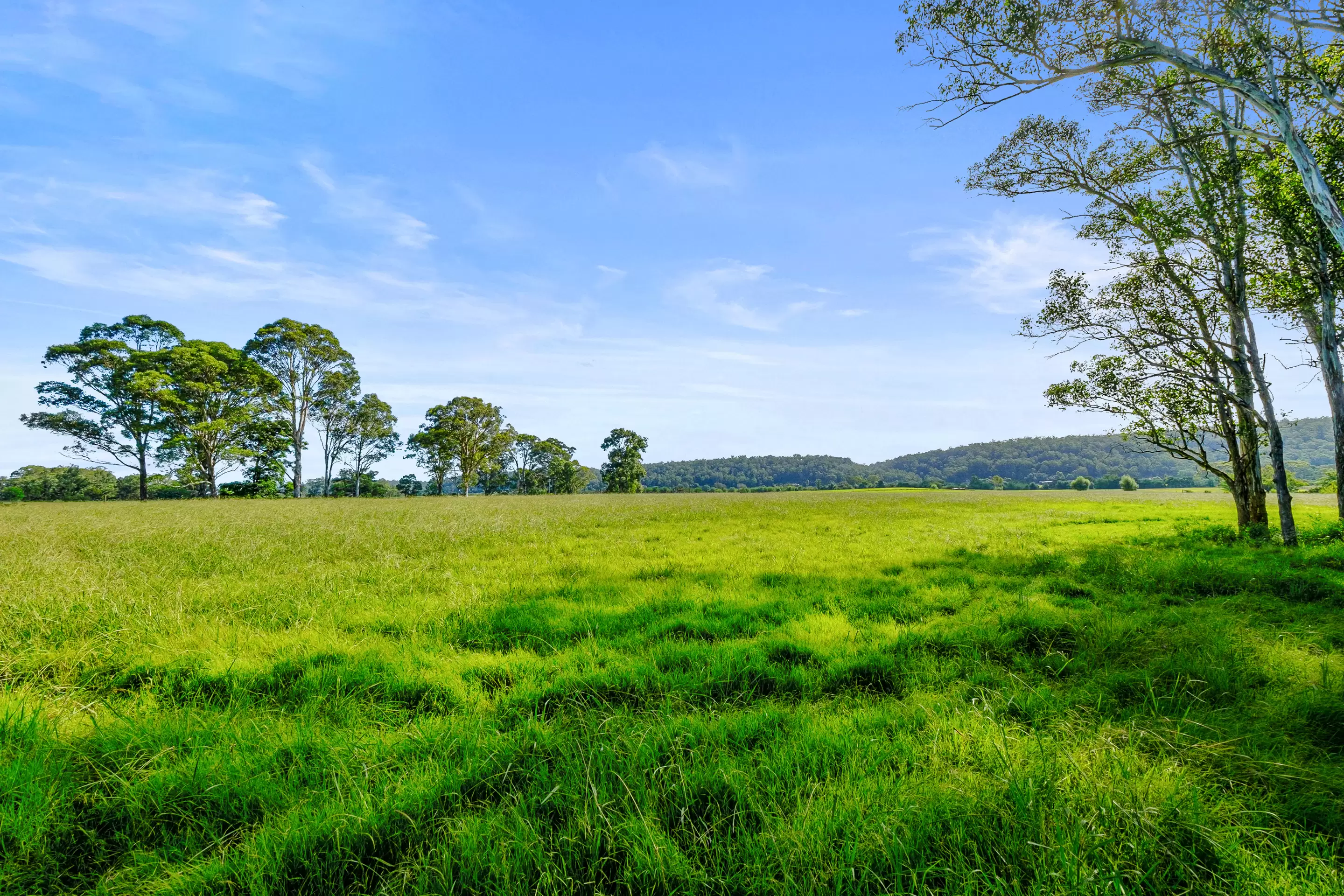 1300 Greendale Road, Wallacia Sold by Cutcliffe Properties - image 5