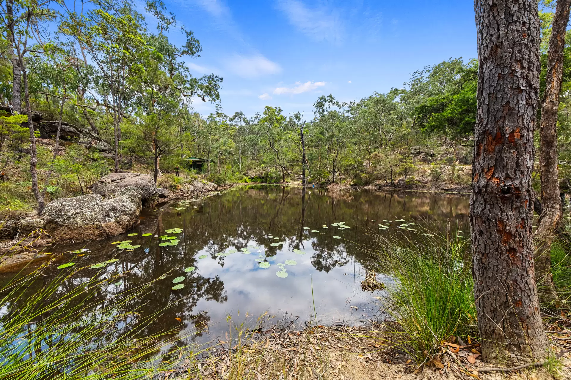 16 Carmichael Place, East Kurrajong Sold by Cutcliffe Properties - image 1