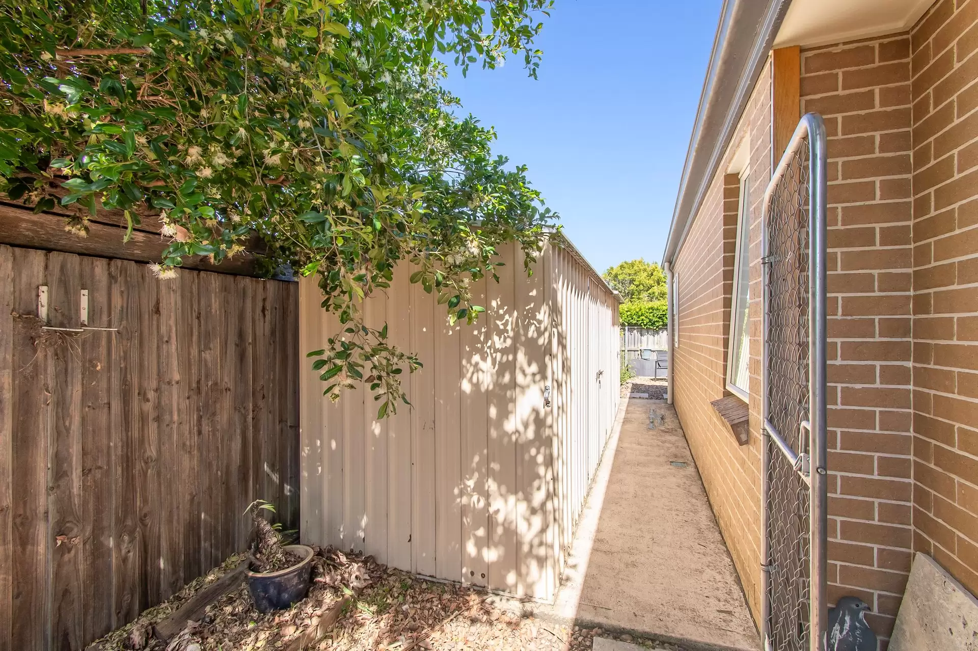 3 Bona Vista Drive, Pitt Town Sold by Cutcliffe Properties - image 1